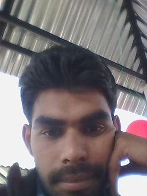 SjDas4's profile picture. Entertainment Entertainment Entertainment