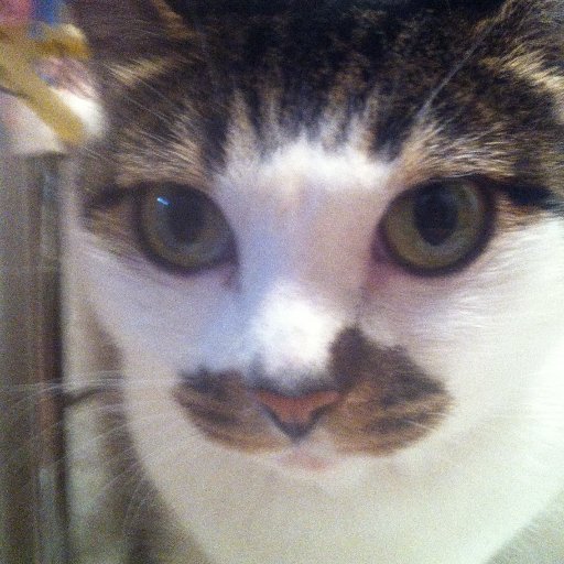 takashimo0223's profile picture. 