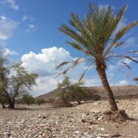 سيح الهبوب (@lar0e) 's Twitter Profile