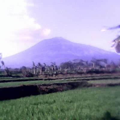 rbngroslen's profile picture. Mnkn