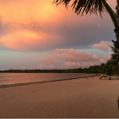 M41k44g's profile picture. Soy de un país en el mundo colocado en el mismo trayecto del sol; adoptada por una de las ciudades mas bonitas que existen. Lucky me!!