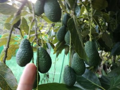 JuanCar93523363's profile picture. Ciencia y Tecnología Tecnología Política y Gobierno La Liga Televisión Programas TV Presentadores TV Informativos y actualidad Deportes Música Fútbol