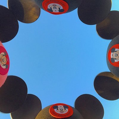 Amch08's profile picture. 文理物理 move12th DCG65th バスケ SBJ LDH