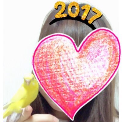 セキセイインコの太陽！呼び名は、ようちゃん・∀・インコ好きな方フォローお願いします。フォロバは気まぐれ