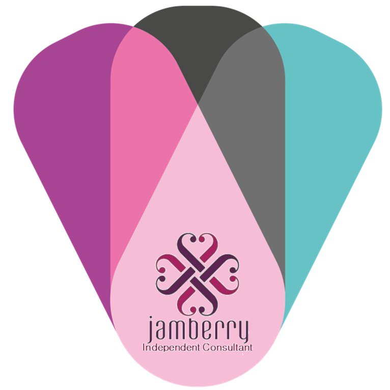 JamWraps is a Jamberry Nails Subscription Box service available outside the USA. With over 300 designs to choose from, we have done the guess work for you.