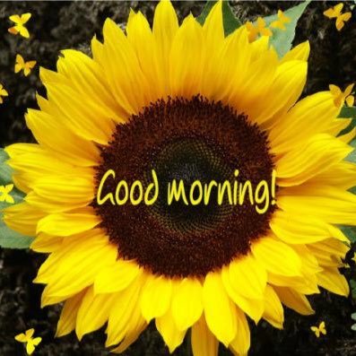 When you're about to quit, remember why you started . Love Yona, JYJ, Conan Doyle & Agatha Christie's detective novels...