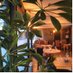 Restaurant DROM (@restaurantdrom) Twitter profile photo Restaurant DROM (@restaurantdrom) Twitter profile photo