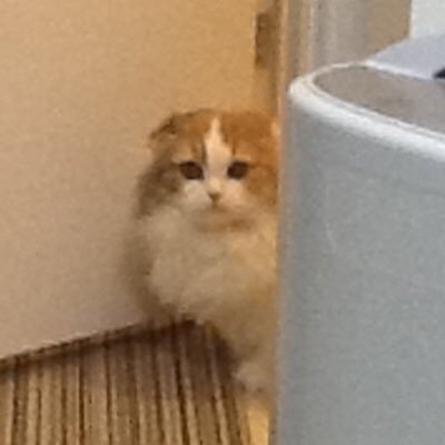 NjsdaA1O's profile picture. 