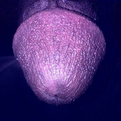 Tatsumi243's profile picture. 