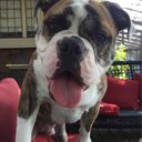 Robert Marks - @rmarks1896 - Twitter