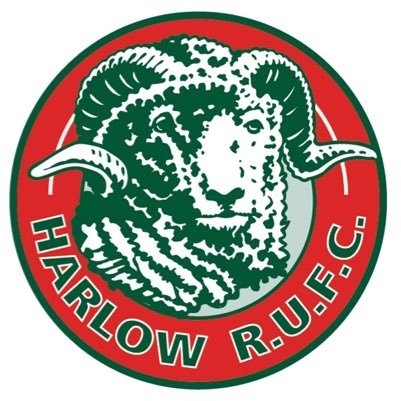 Harlow Rugby Club