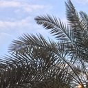 muneera_0000 (@0000Muneera) Twitter