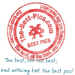 TheBestPicsCom Profile Picture