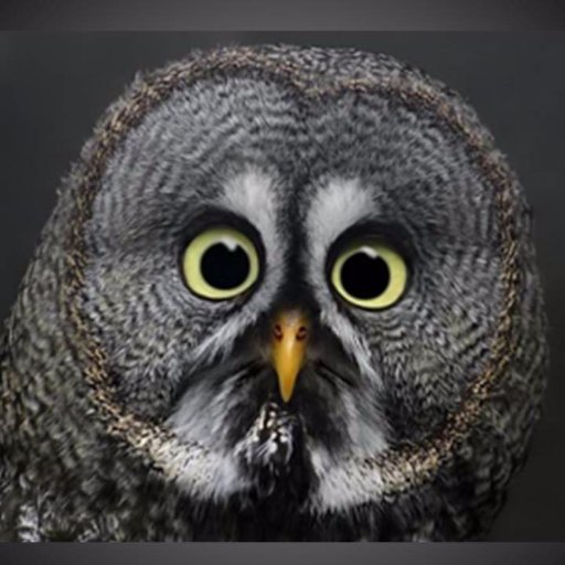 lelg99's profile picture. Médico. Independiente y católico.