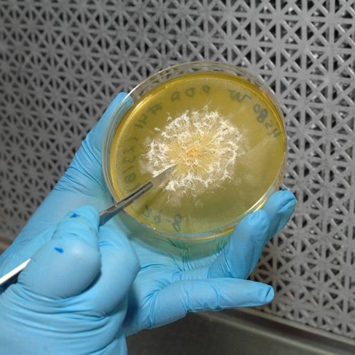 El INBio es un centro de investigación establecido en 1989 para apoyar los esfuerzos por conocer y proteger la diversidad biológica.