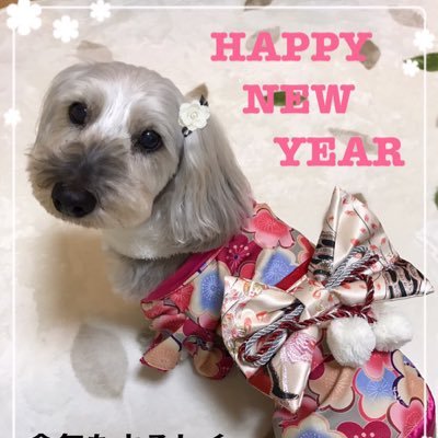 NOW76520921's profile picture. 川北41th→春から玉川 工学部