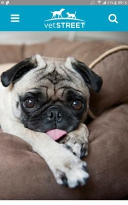 gamers_place_YT's profile picture. I like gameing