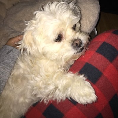 djminiprincess's profile picture. my mommy @makeupbycristin