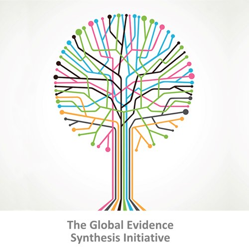 An initiative to build capacity in evidence synthesis across sectors in Low & Middle Income countries. 
Tweets on this page by GESI Secretariat (@AUB_Lebanon).