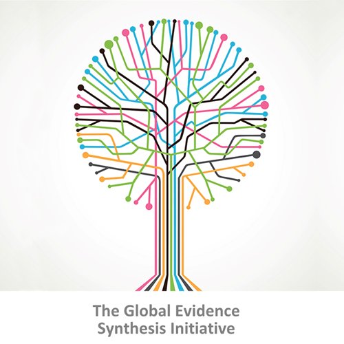 An initiative to build capacity in evidence synthesis across sectors in Low & Middle Income countries.
Tweets on this page by GESI Secretariat (@AUB_Lebanon).