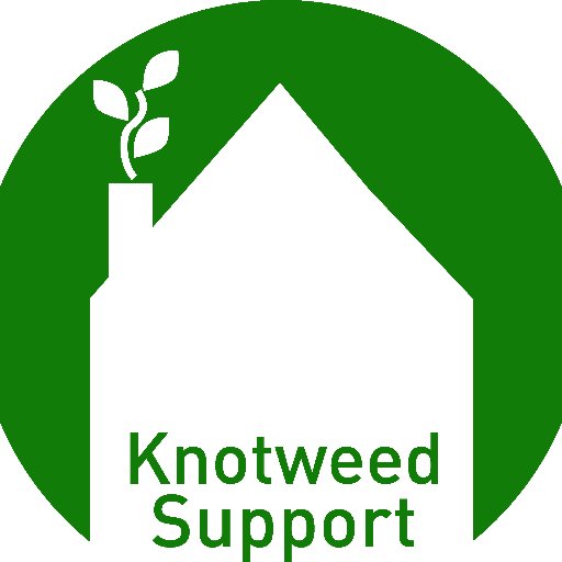 Non-Native Invasive Species Specialist in South Wales. #Knotweed #Buddleia #Balsam #Rhododendron #GiantHogweed Arbenigwr Canclwm Japan o De Orllewin Cymru