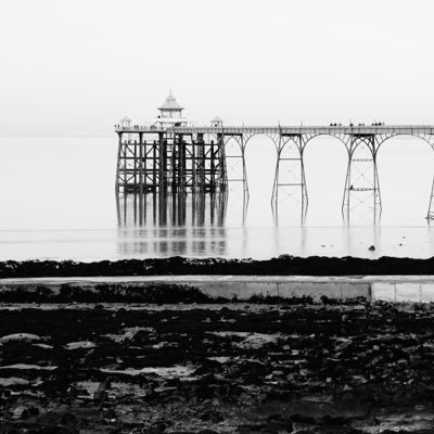 tluacuof's profile picture. Long time supporter of Man United and of Bristol Academy Women's superleague team. Learning jazz piano and trying to be a photographer.