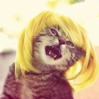 הנסיכונצ ♛ וואלק (@sillybillyzzz) 's Twitter Profile