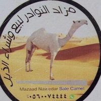 مزاد النوادر (@m_nawadar) 's Twitter Profile