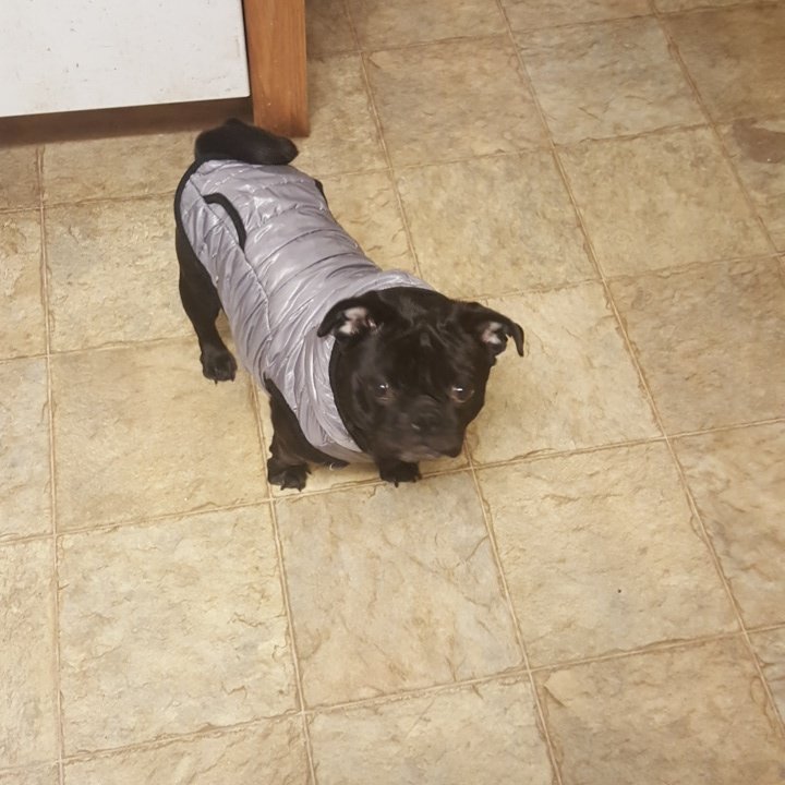 Spntchr1's profile picture. I am a Certified Spanish Teacher and a mother of 5. Creo en el Dios y vivo cada día de la vida como si fue el ultimo día. No quiero perder ninguno momento.