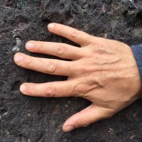 Simon McBurney (@simonmcburney) 's Twitter Profile Photo Simon McBurney (@simonmcburney) 's Twitter Profile Photo