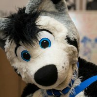 qmick (@qmickhusky) 's Twitter Profile Photo