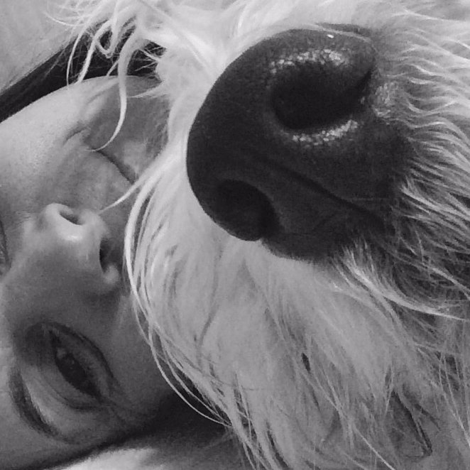 CpFifth's profile picture. 4th & 5th Grade Teacher @Community_Prep
Figuring out Distance Learning