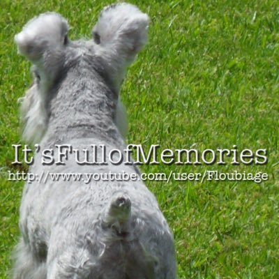 ItsFullofMemori Profile Picture