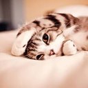 เอาน๊าาาา (@008FLAor) Twitter