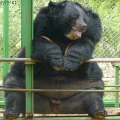 ZachPagg's profile picture. 