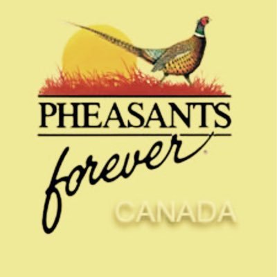 Pheasants Forever Chinook chapter is a not for profit organization in South Eastern Alberta, helping in the conservation of pheasants and other upland wildlife