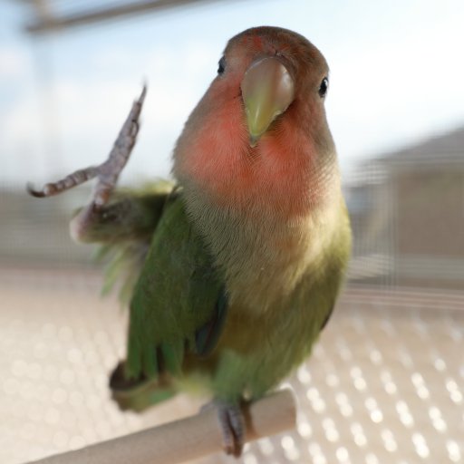 温泉♨好きなおっさんです。 
鳥さん界隈　o(｀^´*) コザクラインコ飼いました🐥♪
平和な現場推し←

売名フォローやヲタクやカメコやスタッフのフォローお断りします⬅(`へ´*)ノ
ヲタク馴れ合い目的での活動はしていません。
※無言フォロー売名フォローは全て永久ブロックさせて頂きます。