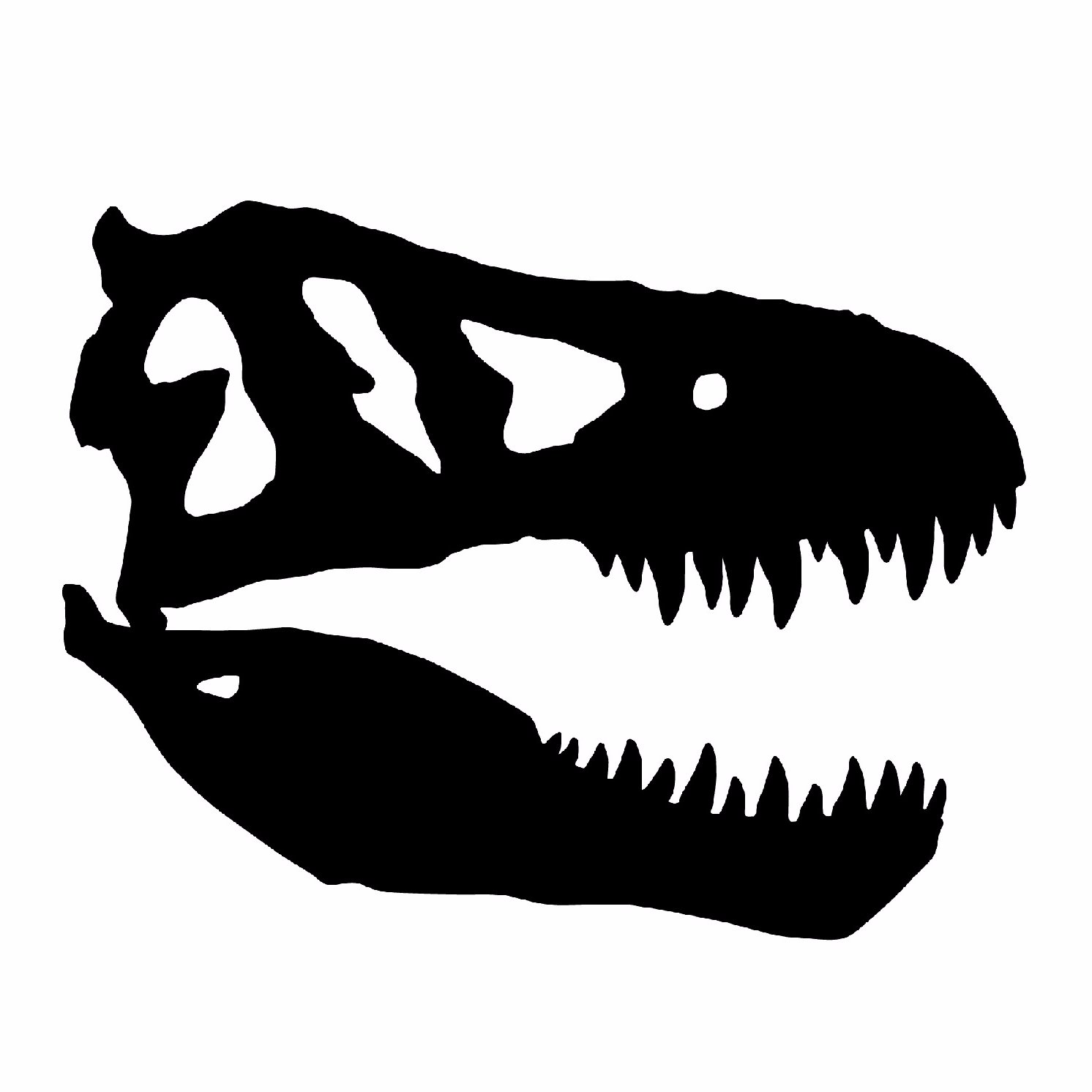 A non-profit, free to use/access digital repository for Paleontologists to share all their research outputs, including preprints, postprints, code and data.