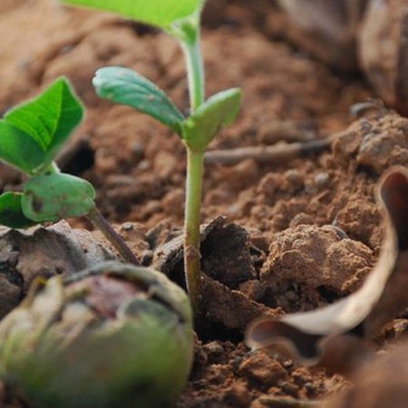 AlmaawaFund's profile picture. AL-MA’AWA FOUNDATION FOR HUMANITARIAN SERVICES (AFHS) is a nonprofit Human Development Organization.