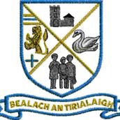 Tyrrellspass GAA (@tyrrellspassgaa) 's Twitter Profile