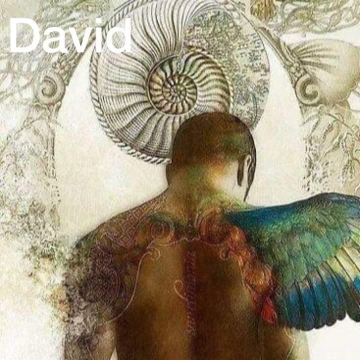 David20179's profile picture. 