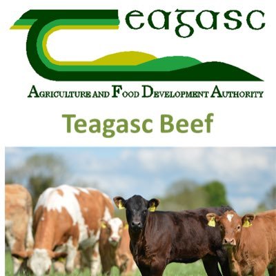 Updates on all Beef related topics within Teagasc advisory, research and education.