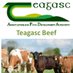 Teagasc Beef (@TeagascBeef) Twitter profile photo