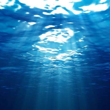 teterororo's profile picture. 無言フォロー失礼