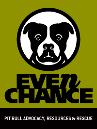 Even Chance is a non-profit, volunteer run pit bull advocacy and rescue group.