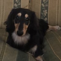 ミンミン (@minmin021526) 's Twitter Profile