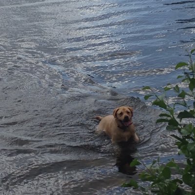 Roisxn's profile picture. There's something tragic about you, something so magic about you, don't you agree? - Hozier