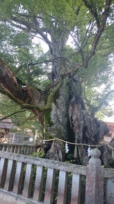 itimaru10301's profile picture. いまいち使いこなせてなく 呟くことはほとんどありません(^^;