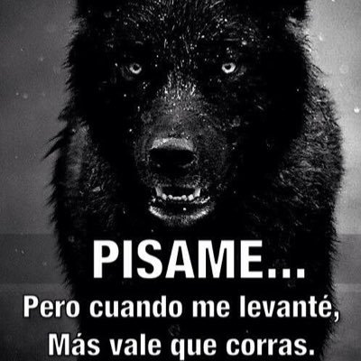 Las cosas más importantes de la vida no son cosas. La vida es como la rueda de la fortuna, cuando menos te lo esperes subes o bajas.