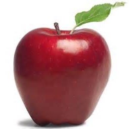 MiltonDentalHyg's profile picture. An innovative dental hygiene practice combining a holistic approach with state-of-the-art dental equipment. Come by today for a dental wellness consultation.